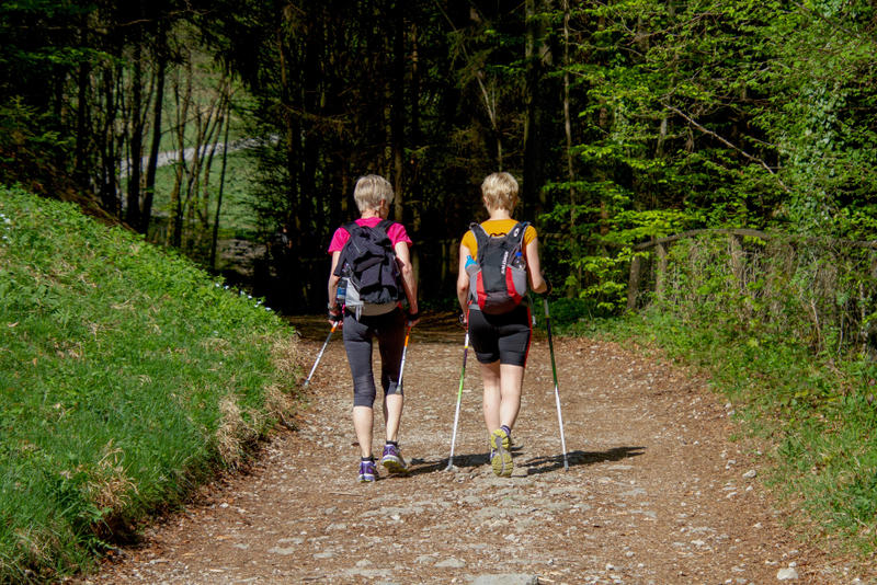 Zwei Frauen mit Wanderstöcken gehen auf einem breiten Weg im Wald.