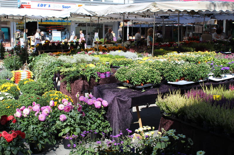 Hochdahler Markt Blumenstand