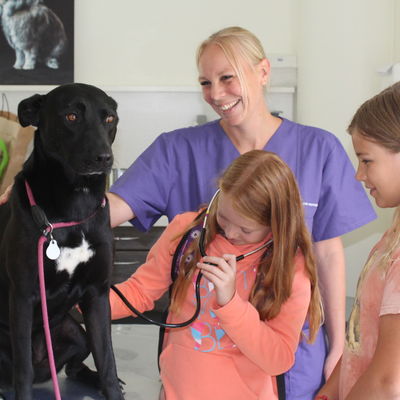 Unter der fachkundigen Anleitung von Tierarzthelferin Christina Richardson hören Hannah und Franziska (r.) Hund Popeye ab.