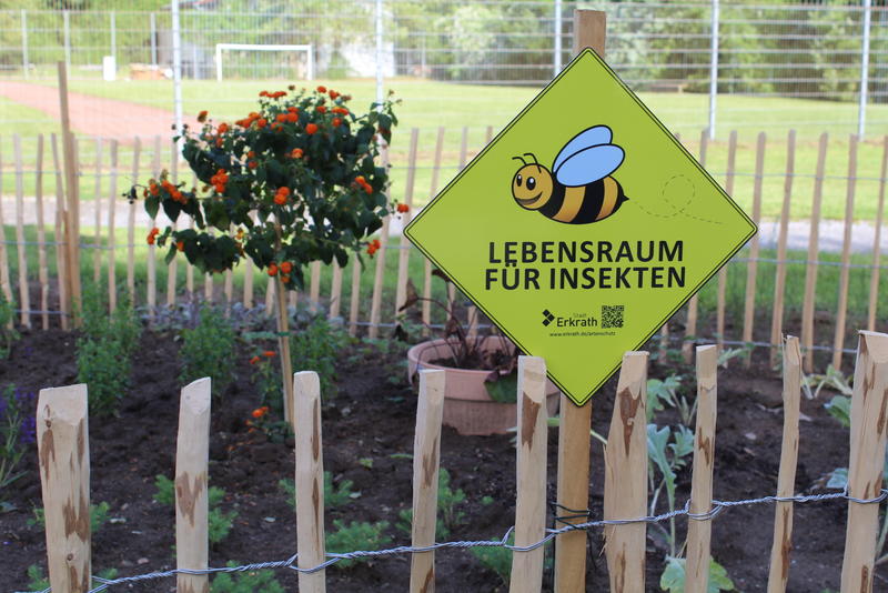 Das Bild zeigt ein Schild mit der Aufschrift »Lebensraum für Insekten«, mit dem im Erkrather Stadtgebiet wichtige Lebensräume für den Insektenschutz gekennzeichnet werden.