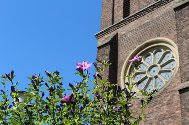 Die Detailaufnahme des Kirchenfensters der Sankt Franziskuskirche in Hochdahl.