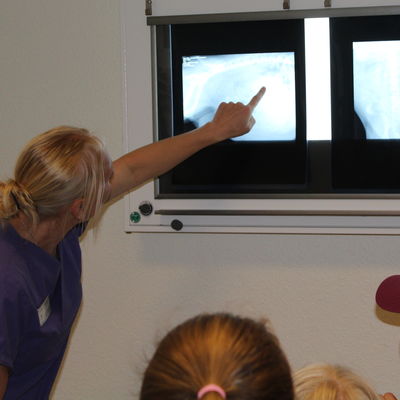 Im Röntgenraum sahen die Kinder Bilder von verletzten Pfoten.