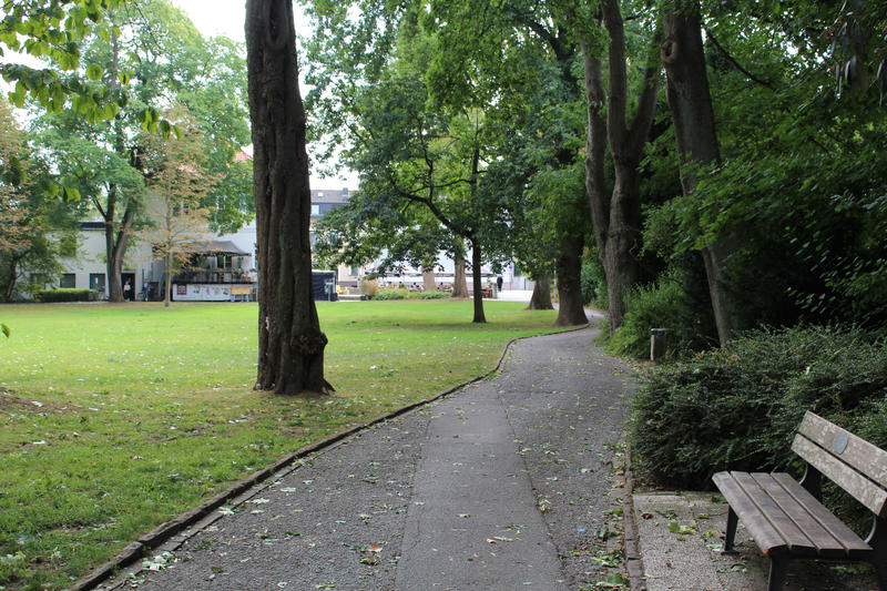 Das Bild zeigt den zu modernisierenden Weg im alten Bereich des Bavier Parks.