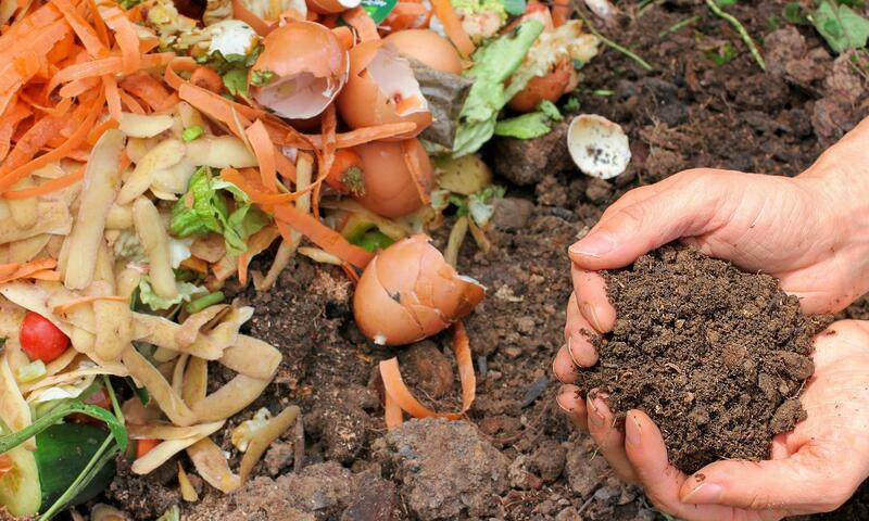 Eine Person hält neue Erde neben einem Komposthaufen in den Händen,