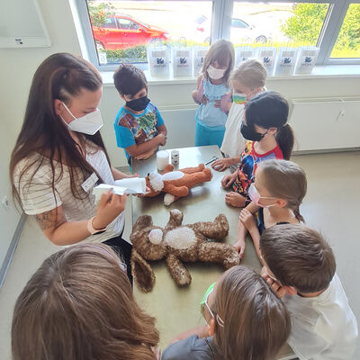 Im Rahmen des Freizeitspa-Programms besuchten acht Kinder die Tierklinik Neandertal.