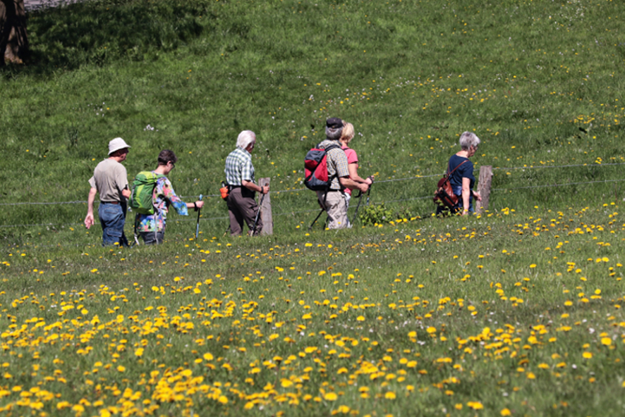 Eine Gruppe älterer Wandersleute auf einer Sommerwiese