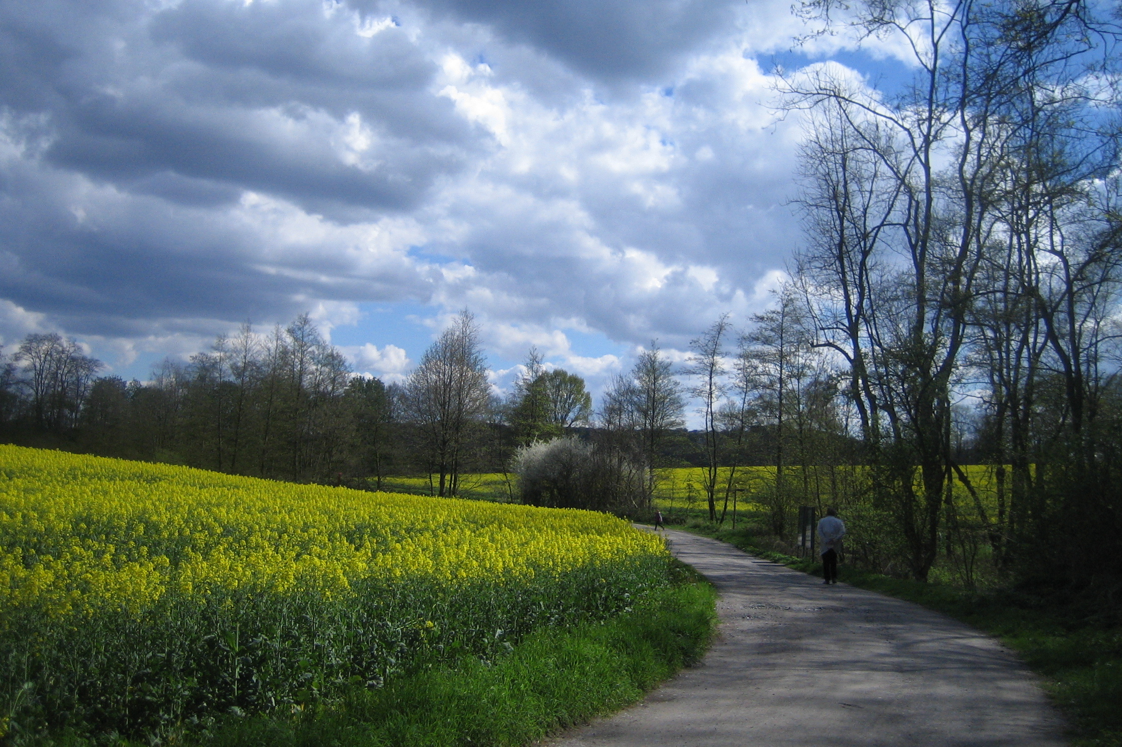 Wanderweg bei Papendelle