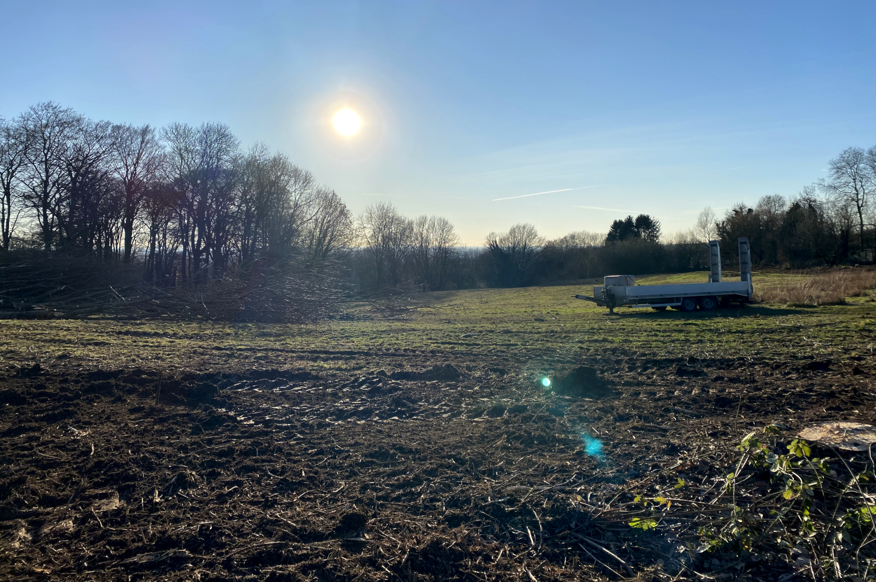 Eine karge Wiese mit wenigen Bäumen am linken Bildrand Rand und einem Baufahrzeuganhänger.
