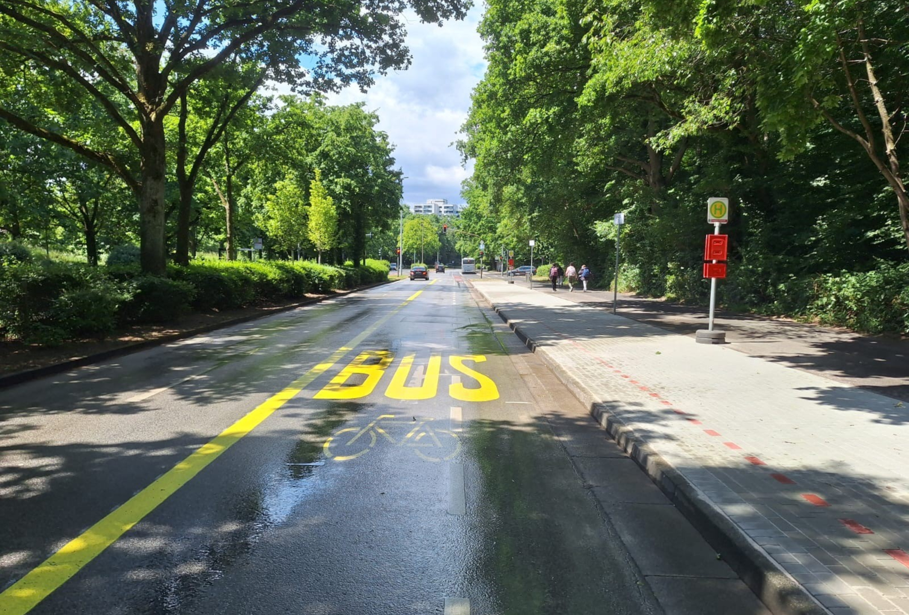 Auf der Sedentaler Straße wurde auf der Straßenseite des Schulzentrums Rankestraße eine neue Busspur eingerichtet.