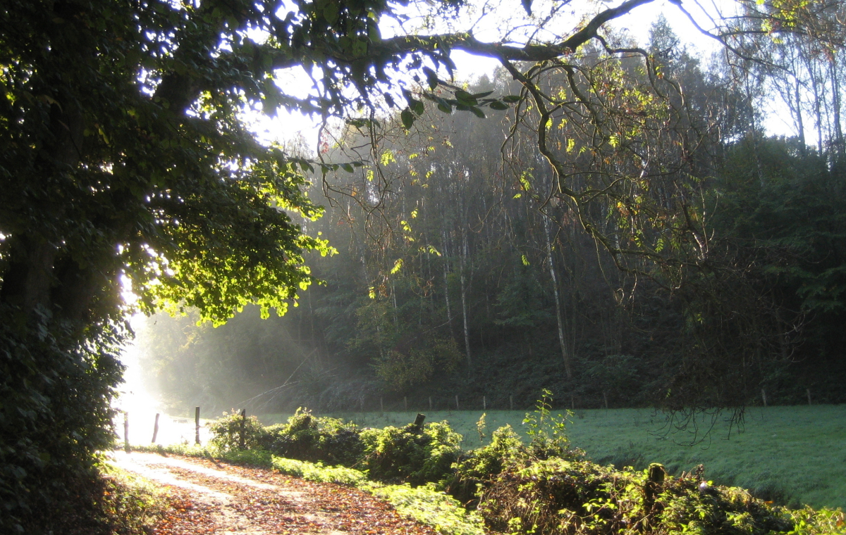Wanderweg im Stindertal im Sommer.