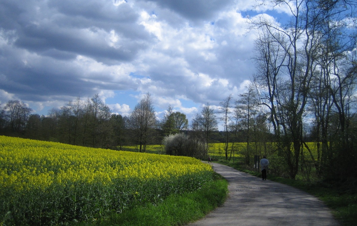 Wanderweg bei Papendelle