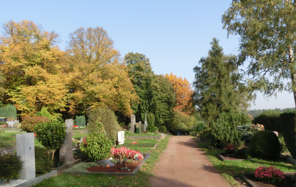 Friedhofsweg, Bäume zu sehen