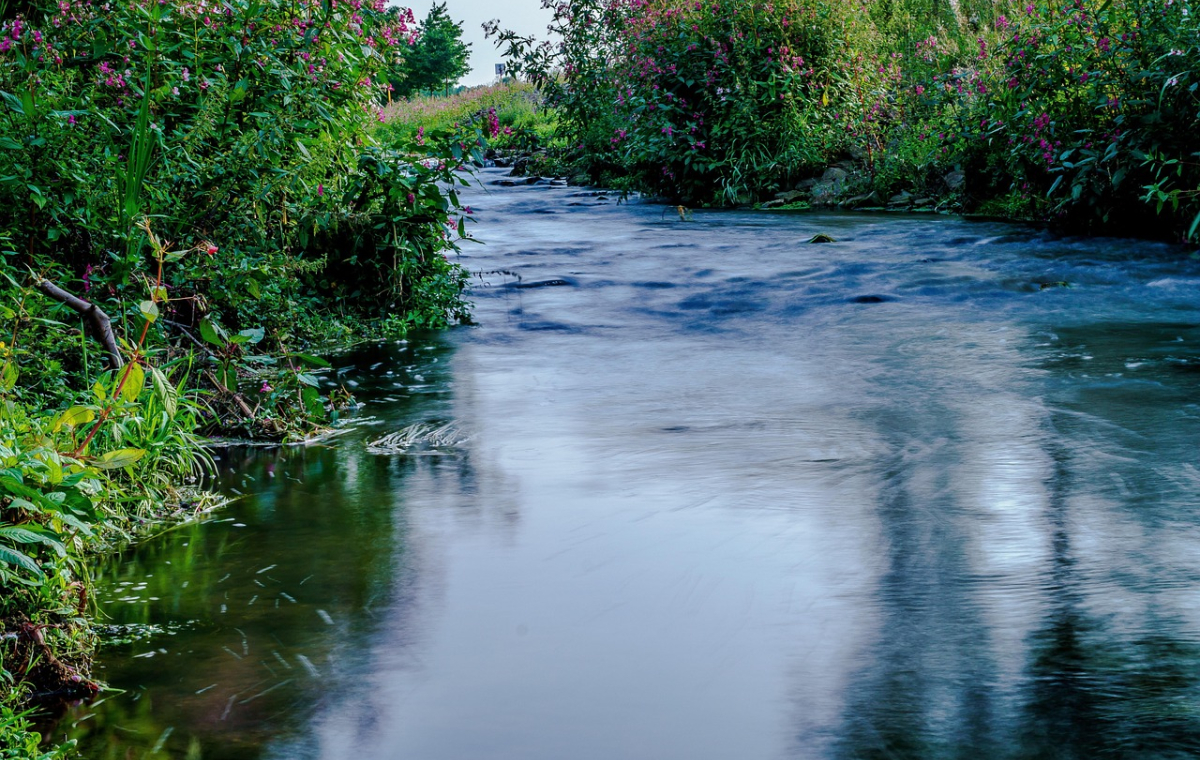 Zu sehen ist der Fluss Niers und die Büsche und Wiesen um ihn herum