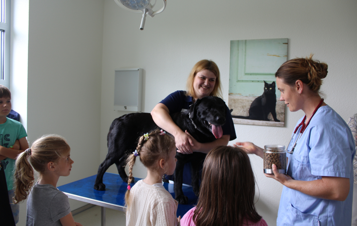 Kinder stehen vor einem Hund, eine Tierarzthelferin hält den Hund fest und die Tierärztin hält dem Hund Leckerchen hin.